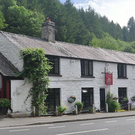 Dragon Bed And Breakfast 贝图瑟科伊德 外观 照片